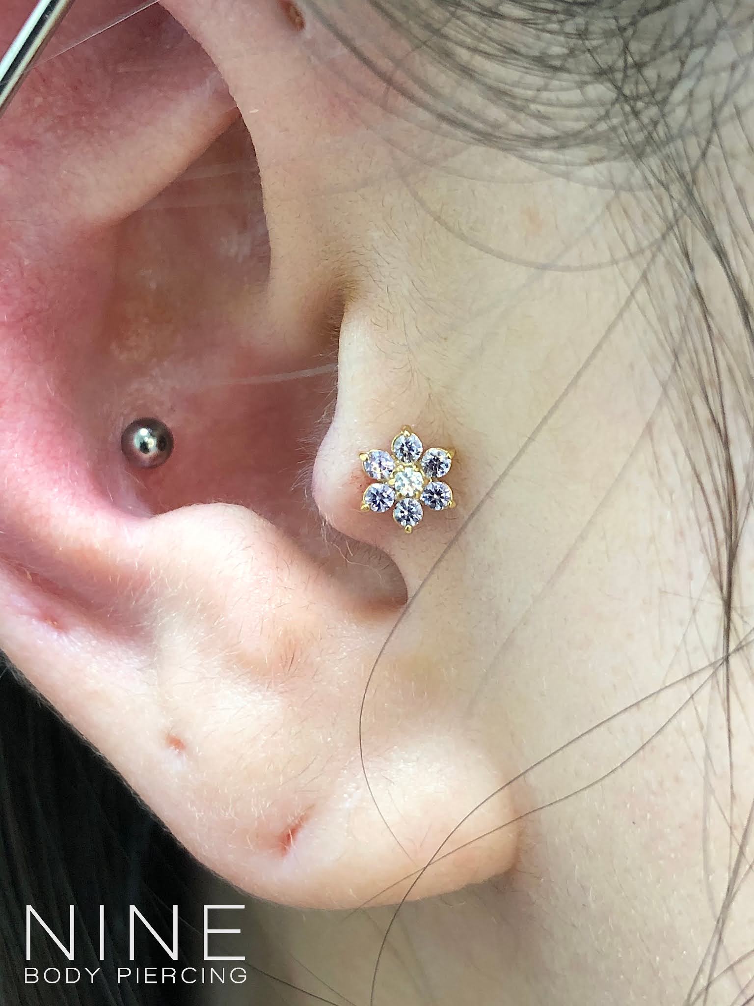 最高の anatometal 18K 人気商品 ジアエンド ジアエンド プッシュピン